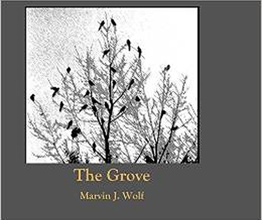 'The Grove Autumn And Winter With A Magpie Flock.' For bird lovers and photography fanciers, this monograph and portfolio of abstract black-and-white images captures the life of a South Korean magpie flock in their nesting grove in late autumn and early winter. 